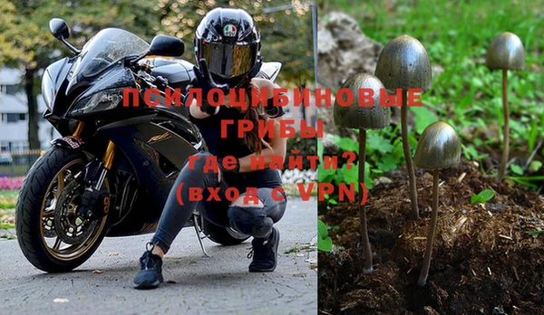 бутират Арсеньев
