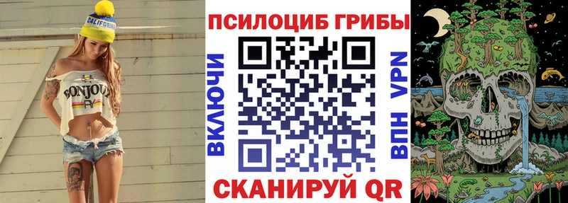 Псилоцибиновые грибы Psilocybine cubensis купить наркоту Еманжелинск