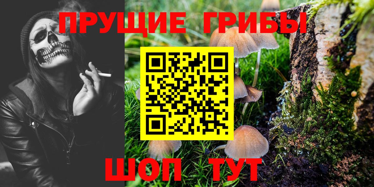 Псилоцибиновые грибы прущие грибы  Галлюциногенные грибы прущие грибы  Еманжелинск  Вход с VPN 