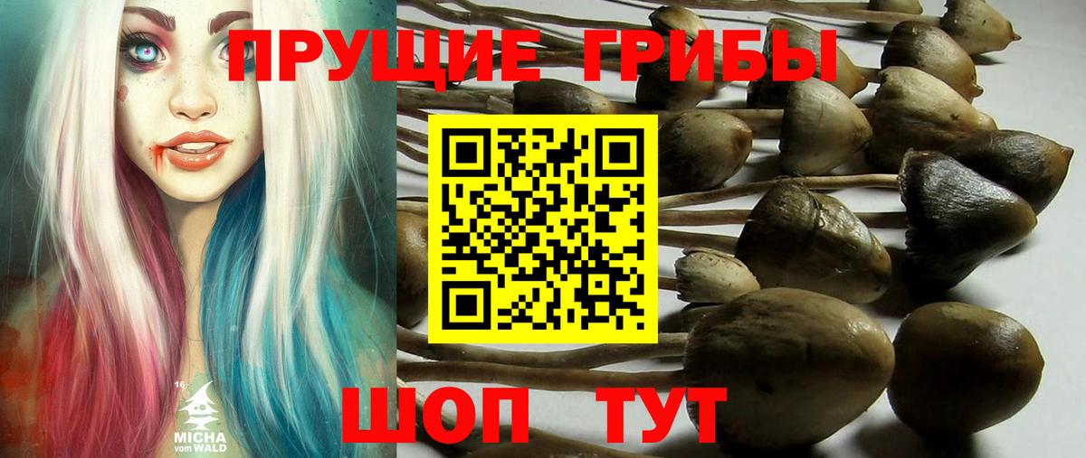 Псилоцибиновые грибы ЛСД Еманжелинск