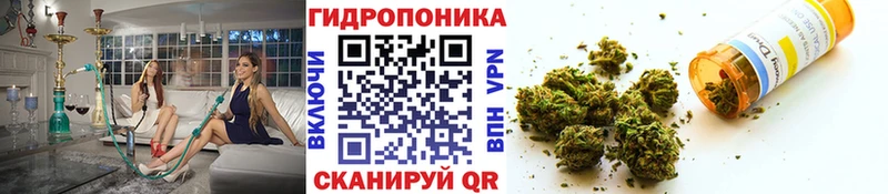 как найти наркотики  Еманжелинск  Конопля конопля 
